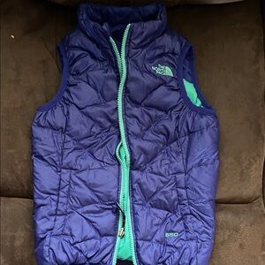 The North Face Purple and Teal Puffer Vest